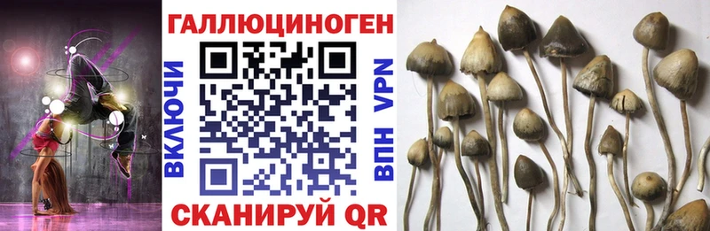 Галлюциногенные грибы прущие грибы  Купить где  Шимановск 